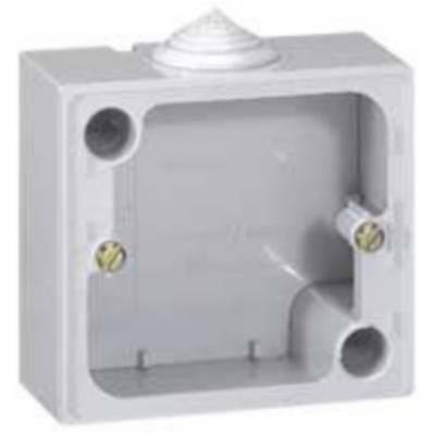 Cadre saillie plexo 10